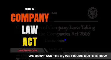 Understanding the Company Law Act: Key Principles and Applications