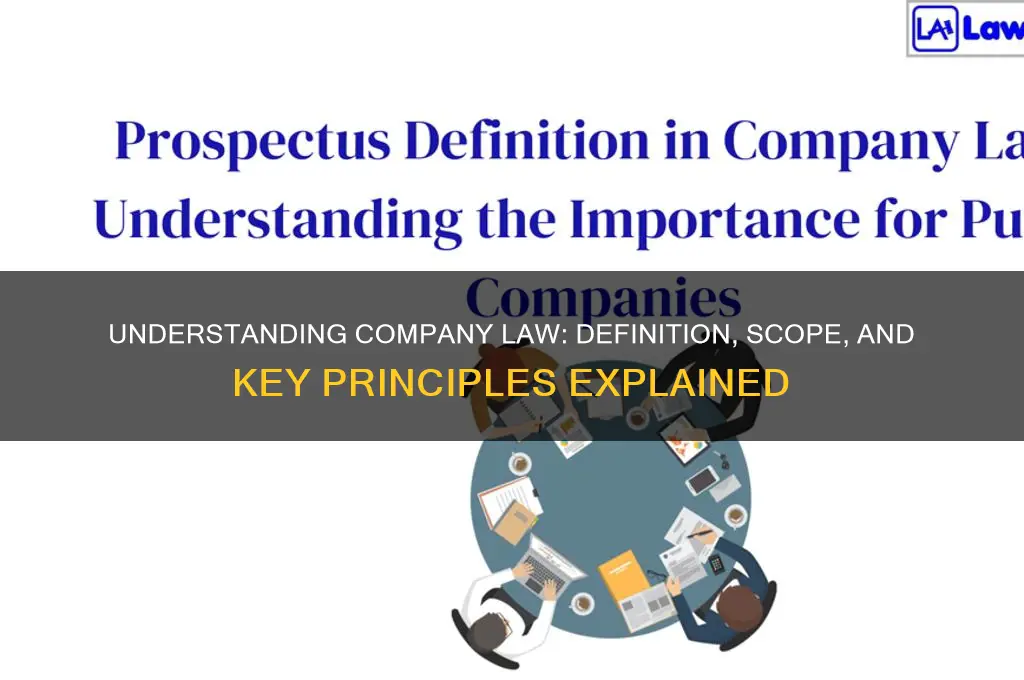 what is company law definition