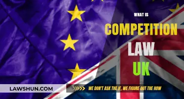 Competition Law UK: What Businesses Need to Know