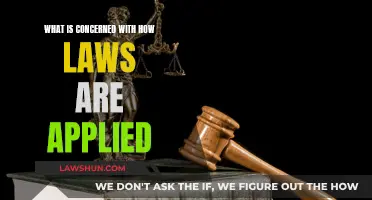 How Laws Are Applied and Interpreted