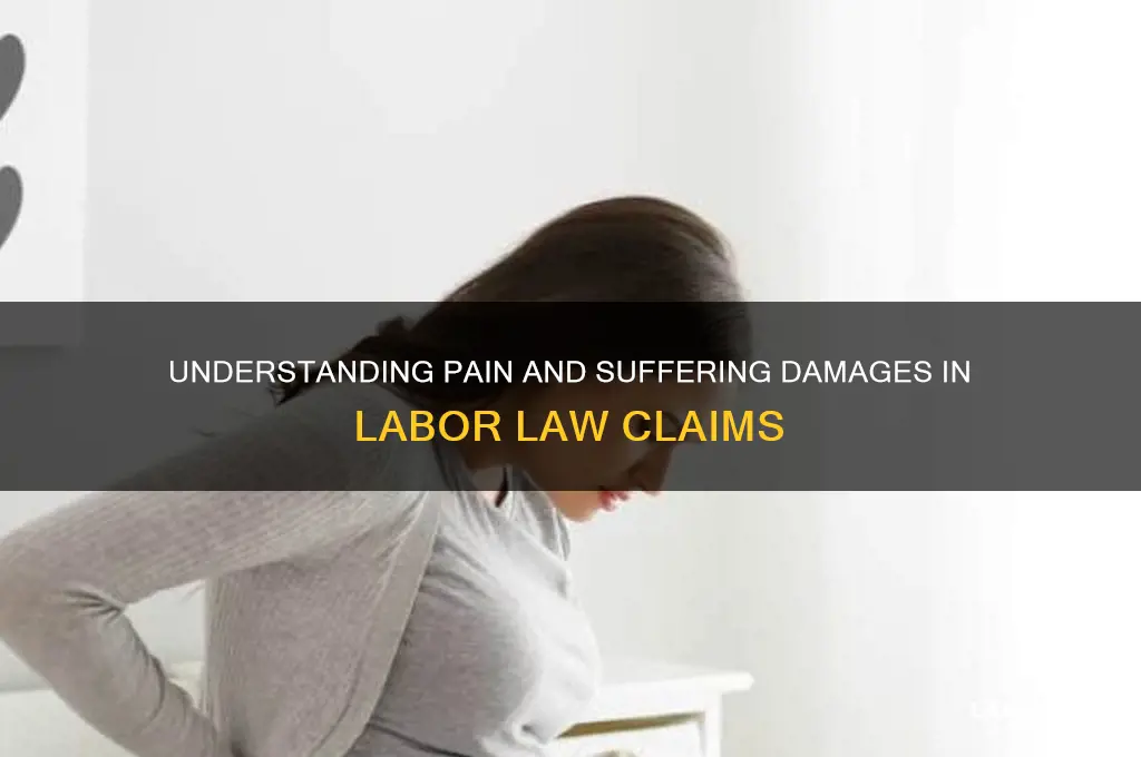 what is concidered pain and suffering in labor law