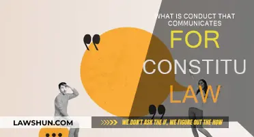 Constitutional Law: Conduct and Communication