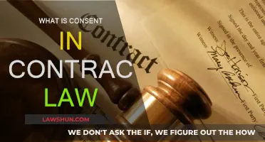 Understanding Consent in Contract Law
