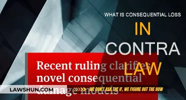 Understanding Consequential Loss: Contract Law Essentials