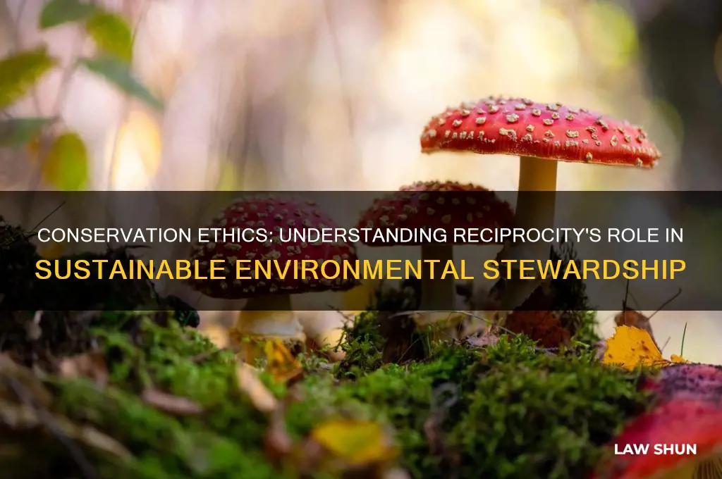what is conservation ethics and the law of reciprocity