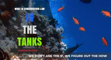 Understanding Conservation Laws in Tank Ecosystems: Principles and Practices