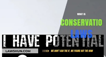 Understanding Conservation Laws: Principles Governing Energy, Momentum, and Mass