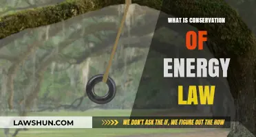 Understanding the Conservation of Energy Law: Principles and Applications