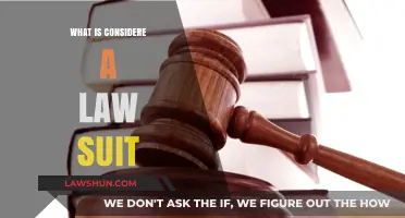 Understanding Lawsuits: What Constitutes a Legal Claim in Court