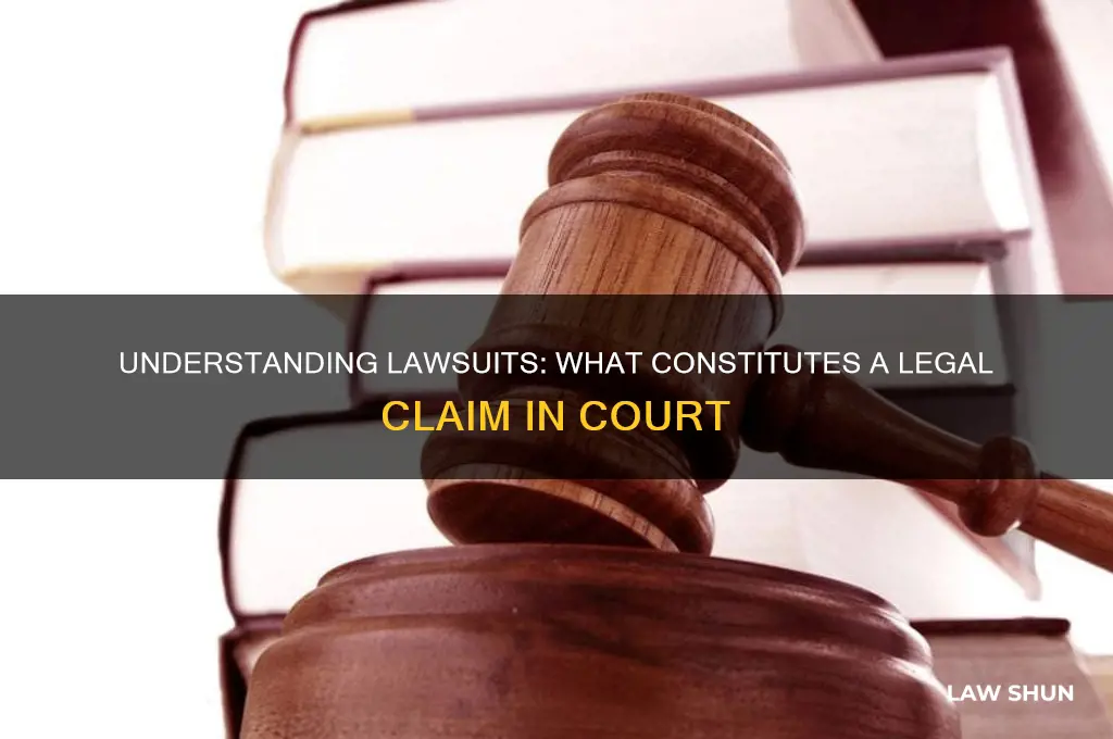 what is considere a law suit