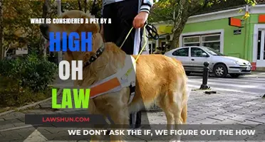 Ohio's Pet Definition: Understanding Legal Boundaries for Animal Companionship
