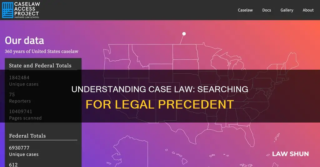 what is considered a search case law