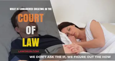 Legal Boundaries: Defining Cheating in the Court of Law