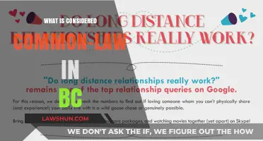 Understanding Common-Law Relationships in British Columbia