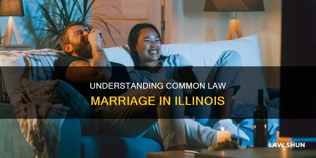 what is considered common law marriage in illinois