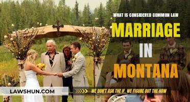 Montana's Common Law Marriage Requirements