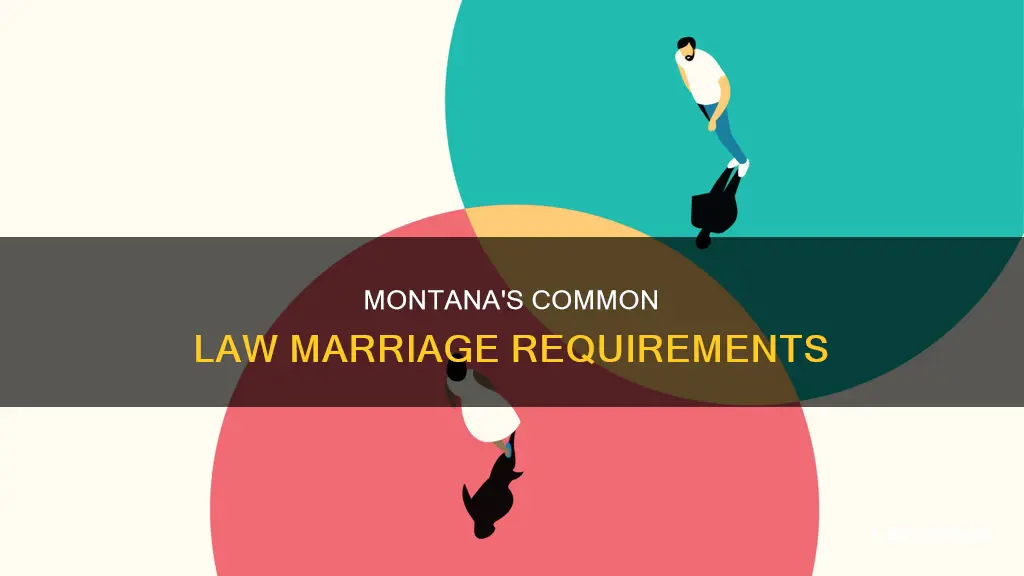 what is considered common law marriage in montana