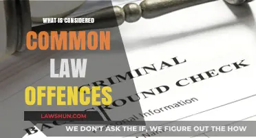 Common Law Offences: What Are They?