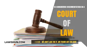 Understanding Legal Documentation: What's Admissible in Court Proceedings