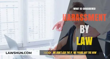 Understanding Harassment: A Legal Perspective on What Crosses the Line