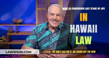 Understanding Hawaii's Legal Definition of Life's Final Stage