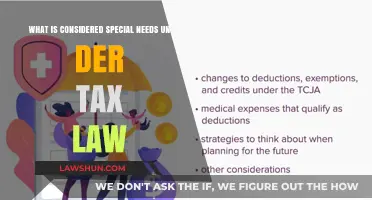 Special Needs Tax Law: Understanding the Basics