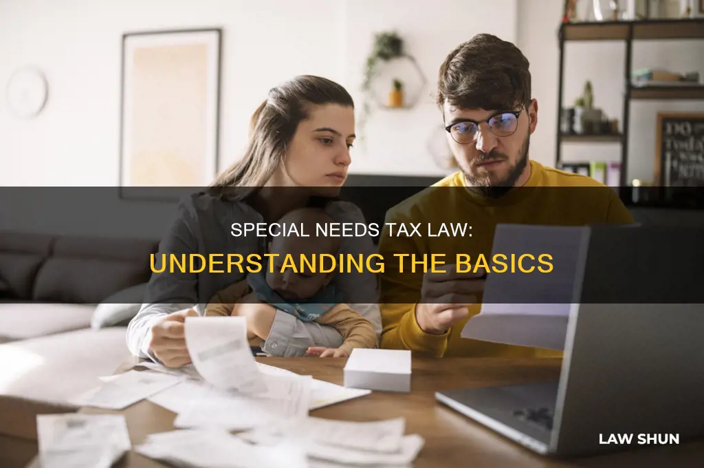 what is considered special needs un der tax law