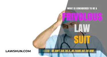 Understanding Frivolous Lawsuits: What Constitutes a Baseless Legal Claim?