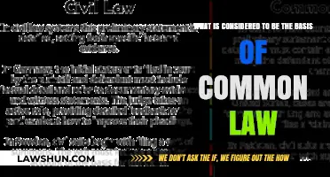 The Evolution of Common Law: A Basis Explored