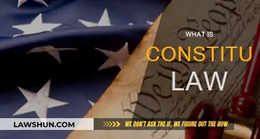 Exploring Constitutional Law: Understanding the Fundamentals