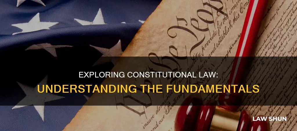 what is constitutal law