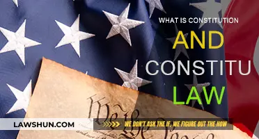 Constitution and Law: Understanding the Basics
