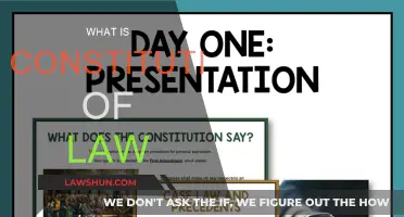Understanding the Constitution: Law's Foundation