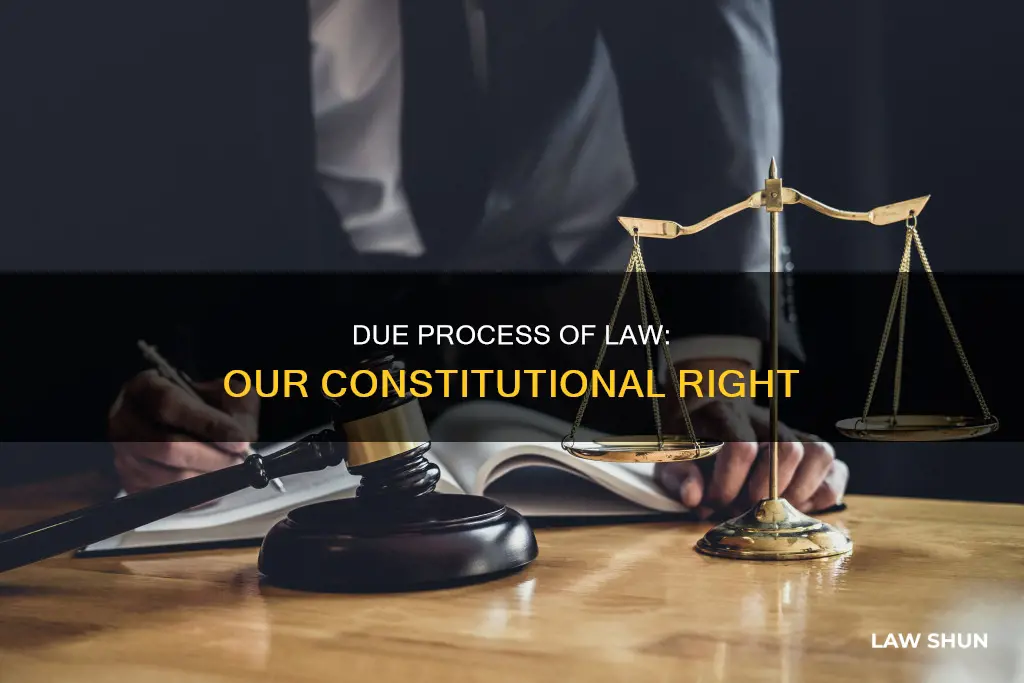 what is constitutional due process of law