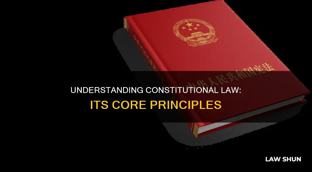 what is constitutional law based on