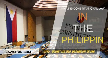 Philippine Constitutional Law: Understanding the Basics