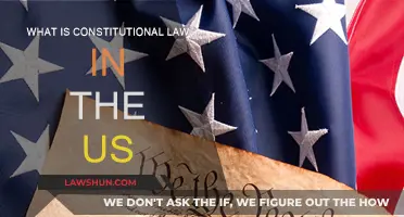 Constitutional Law: Understanding America's Foundation