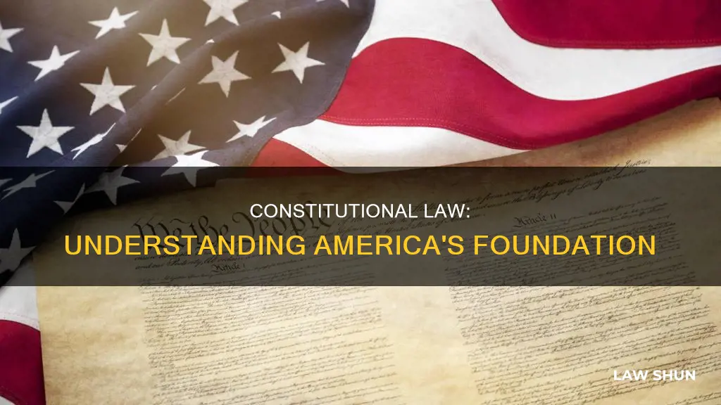 what is constitutional law in the us