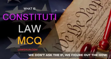 Constitutional Law MCQ: Exam Essentials