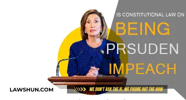 Understanding Impeachment: The Constitutional Law Perspective
