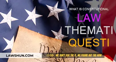 Thematic Inquiry: Constitutional Law's Core Questions