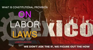 Labor Laws: Constitutional Foundation Explained