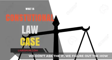 Understanding Constitutional Law Through Landmark Cases