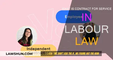 Contract for Service: Labour Law Basics