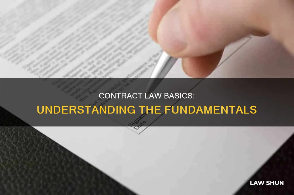 what is contract law essay