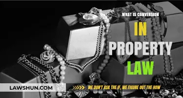 Understanding Conversion in Property Law: Key Concepts and Implications