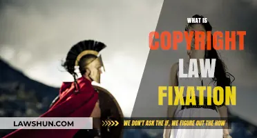 Understanding Copyright Law Fixation: Essential Concepts and Requirements Explained