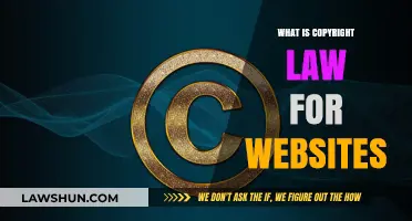 Understanding Copyright Law for Websites: Essential Rules and Protections