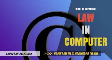 Understanding Copyright Law in Computer Science and Digital Creations