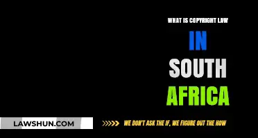 Understanding South Africa's Copyright Law: Rights, Protection, and Enforcement Explained